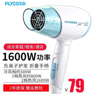 飞科（FLYCO） 电吹风 家用静音大功率吹风筒可折叠便携式吹风机FH6223