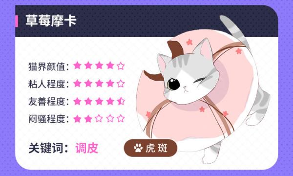 再度与你漫画猫咪甜点系列盲盒