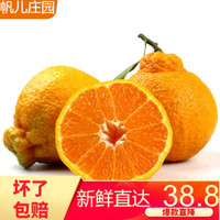 现货丑橘不知火丑八怪柑橘子新鲜水果大果 2.5kg大果