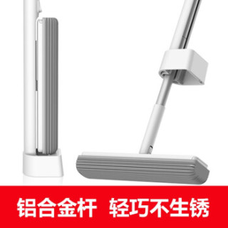 蓝小鱼 LXY-01 180°胶棉拖把
