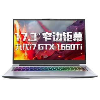 MECHREVO 机械革命 深海泰坦X8Ti-G 17.3英寸 笔记本电脑 (银色、酷睿i7-9750H、16GB、512GB SSD、GTX 1660Ti 6G、144Hz)