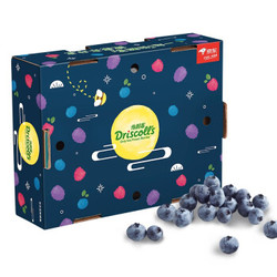  Driscoll's 怡颗莓 秘鲁进口蓝莓 约125g/盒*12盒