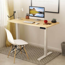 Loctek 乐歌 智能电动升降桌 120*60cm(标准款 )