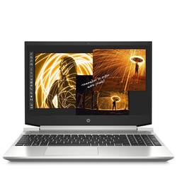 HP 惠普 战99 AMD版-D9 15.6英寸笔记本电脑（R7-4800H、16G、256GB+2TB、Quadro P620）