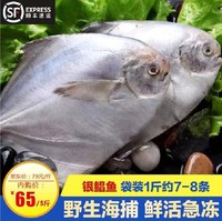 山东渤海湾鲜冻小平鱼银鲳鱼 500g