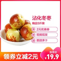 山东沾化冬枣 精品果5斤装 脆甜大枣子