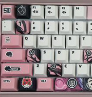 CHERRY 樱桃 MX Board 3.0S LGD定制版 109键 有线机械键盘 上单Langx Cherry黑轴 RGB