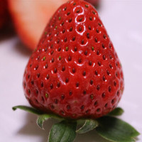  闵家山   新鲜草莓    500g*5