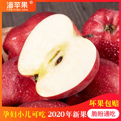 潘苹果甘肃天水花牛苹果国产蛇果孕妇可吃5斤刮泥粉面新果