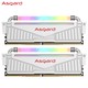 Asgard 阿斯加特 洛极系列-W3 16GB（8GBx2）DDR4 3200频率 RGB灯条台式机内存