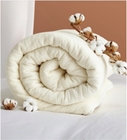 DAPU 大朴 新疆棉花被胎 冬被加厚 5kg 220*240cm