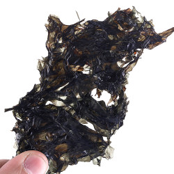 天海藏 霞浦紫菜干货 50g
