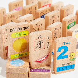 DALA 达拉 数字多米诺100颗粒