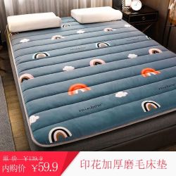 柚菲 2020新款加厚多功能磨毛床垫