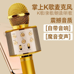 手机麦克风全民K歌儿童音响话筒
