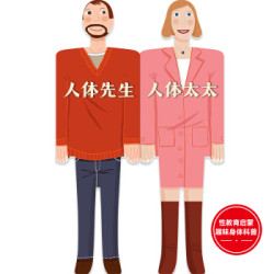 我们的身体趣味纸板书(人体先生和人体太太)