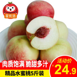 沂蒙山水蜜桃 精品大果毛桃 新鲜桃子水果 现摘现发 蒙阴 新鲜水蜜桃 精品大果4.5-5斤