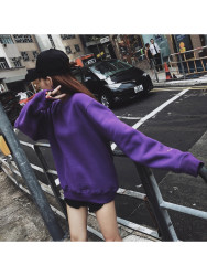 champion 经典美版秋装卫衣 S700袖标刺绣连帽男女秋冬穿搭情侣帽衫 加绒 S700PR