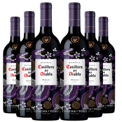 智利原瓶进口干红 Casillero del Diable 干露红魔鬼尊龙梅洛干红葡萄酒 750ml*6瓶 整箱装