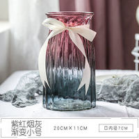 花瓶玻璃花瓶 水培富贵竹绿萝插件 渐变款-紫红烟灰 小号