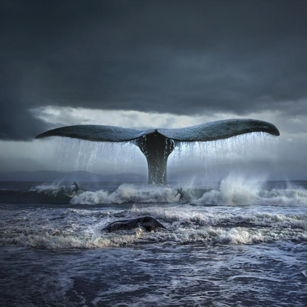 商品波兰艺术家 托马什·扎切纽克 作品《蓝鲸》blue whale