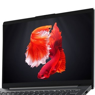 Lenovo 联想 小新Air 14 锐龙版 14英寸 笔记本电脑 (太空灰、锐龙R5-4600U、16GB、512GB SSD、核显)