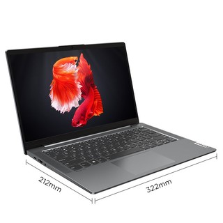 Lenovo 联想 小新Air 14 锐龙版 14英寸 笔记本电脑 (太空灰、锐龙R5-4600U、16GB、512GB SSD、核显)