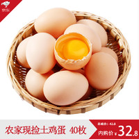 农家新鲜土鸡蛋 现捡柴鸡蛋笨草鸡蛋月子蛋 20枚装