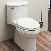 KOHLER 科勒 卫浴套装 K-5171马桶305mm坑距+77365花洒