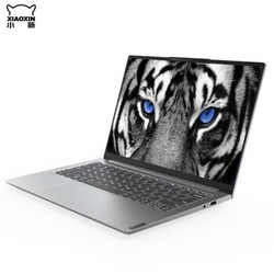 Lenovo 联想 小新 Pro 14 2021 14英寸笔记本电脑(i5-1135G7、16GB、512GB、MX450、2.2K、雷电4) 鼠标套装