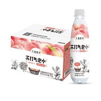 天地精华 苏打水汽水 480ml*15瓶  *5件