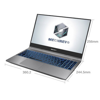 MECHREVO 机械革命 蛟龙Z3 15.6英寸 笔记本电脑 (银色、锐龙R5-4600H、8GB、128GB SSD+1TB HDD、GTX 1660Ti 6G)