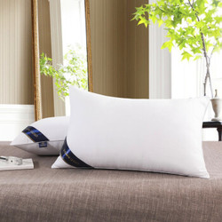枕头 枕芯 高支密度羽丝绒枕 白色 中枕-单只（600克单只）