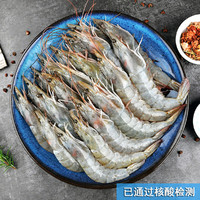 厄瓜多尔白虾净重800克（40-54只）烧烤生鲜火锅食材海鲜水产