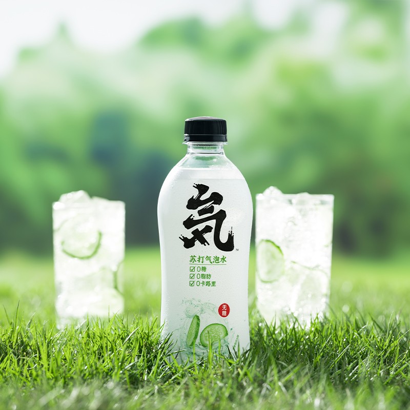 宝藏新品牌预售元气森林无糖0脂整箱饮料12瓶