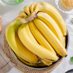 现摘高山甜香蕉 10斤装