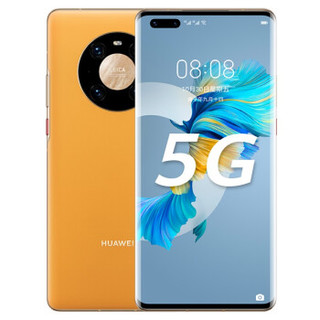 HUAWEI 华为 Mate 40 Pro 5G手机 8GB 256GB 秋日胡杨