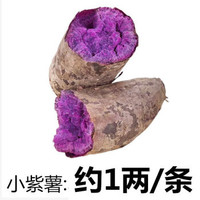 约巢沙地紫薯新鲜 迷你小紫薯 沙地种植