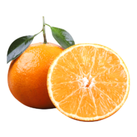 现摘现发四川爱媛38号果冻橙橙子新鲜当季水果柑橘蜜桔子整箱 *4件