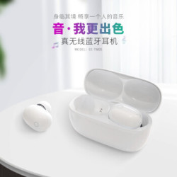 YIPINYUAN 亿品原 EE-TW05 真无线蓝牙耳机