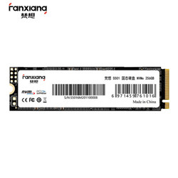 梵想（FANXIANG）256G SSD固态硬盘 M.2接口(NVMe协议) S501系列