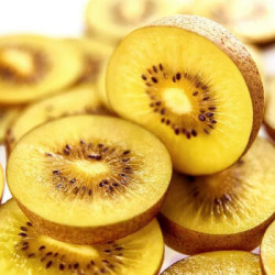 憧憬 华优黄心猕猴桃产地直发 3kg