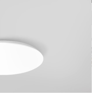 邦古扬 LED吸顶灯 单色白光 12W