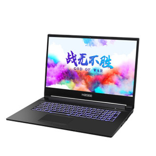 Hasee 神舟 战神 G7-CT7NT 17.3英寸 笔记本电脑 (黑色、酷睿i7-9750H、16GB、1TB HDD、GTX 1660Ti 6G)