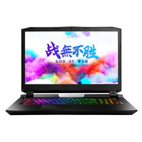 Hasee 神舟 战神GX10 17.3英寸 游戏本