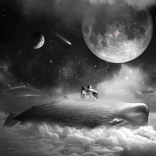 艺术品：波兰艺术家 托马什·扎切纽克 做皮《梦之海》Moonwhale