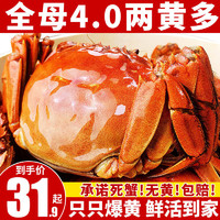 大闸蟹鲜活现货全母特大公母螃蟹六月黄现货礼盒装活体4-2.5两
