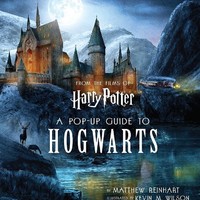 《Harry Potter: A Pop-Up Guide to Hogwarts 哈利·波特：霍格沃茨魔法学校 》原版立体书