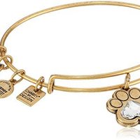 Alex and Ani Charity by Design, Love 印花可伸缩手镯