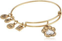 Alex and Ani Charity by Design, Love 印花可伸缩手镯